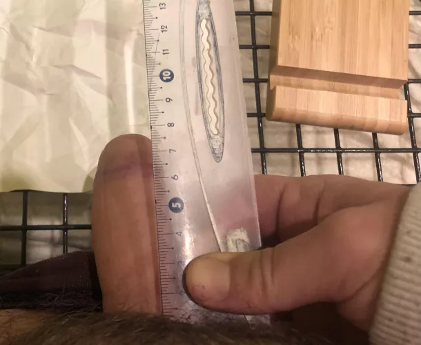 Is this Viking cock enough?