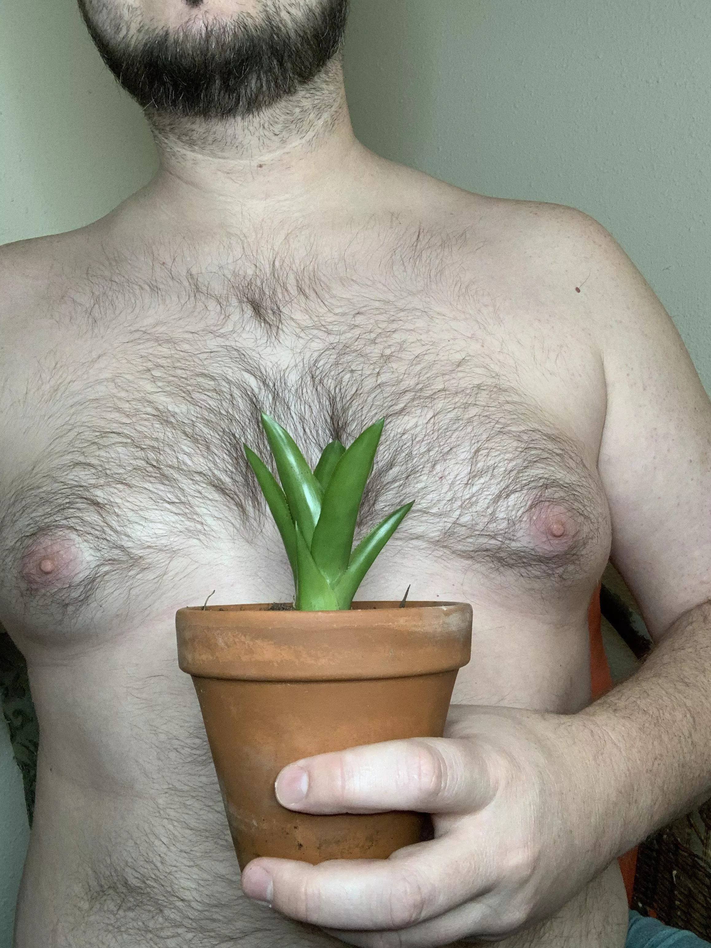 Isnβt my plant cute!? Isnβt my plant cute!?