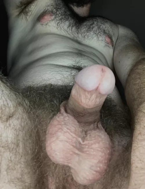 It was very otter Christmas 🦦 🌲