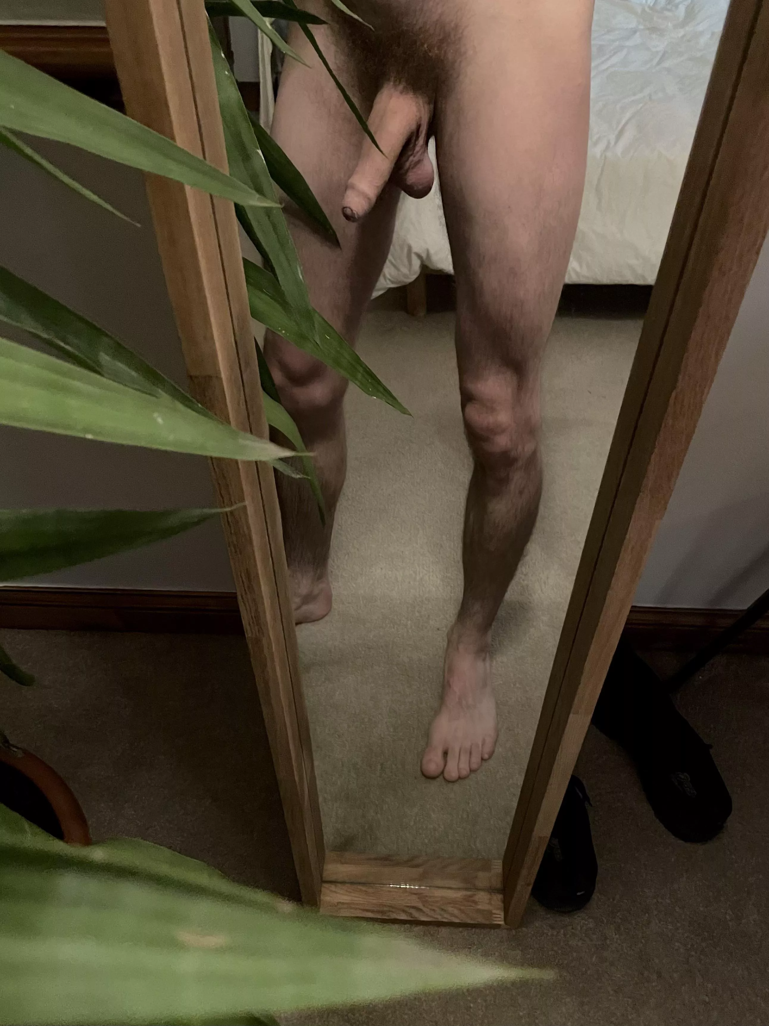 It’s a jungle out there. It’s a jungle out there.