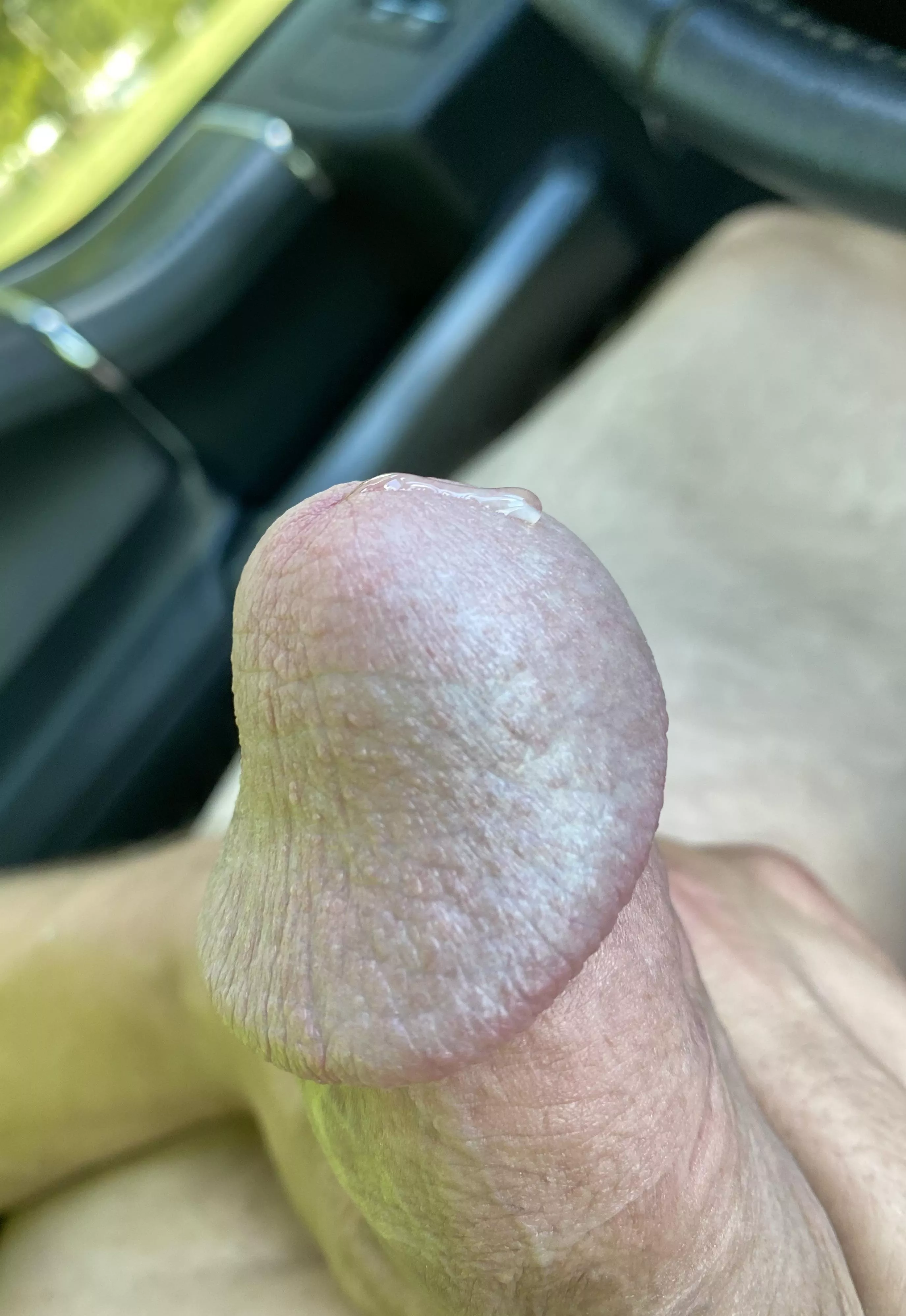 Itβs a nice day out! Itβs a nice day out!