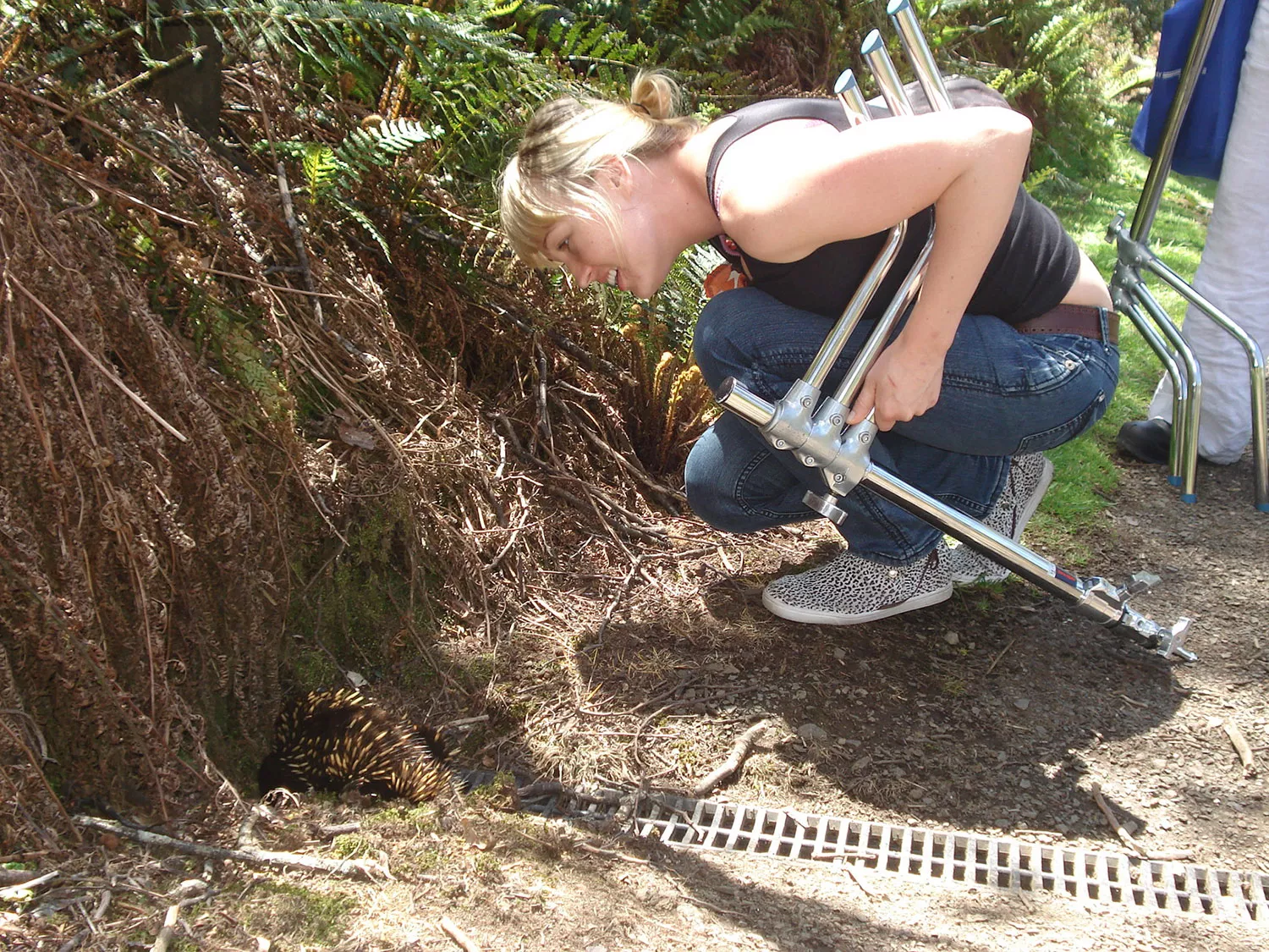 It's Australia day! 🇦🇺 Model Anneke spots a echidna on a shoot 🦔