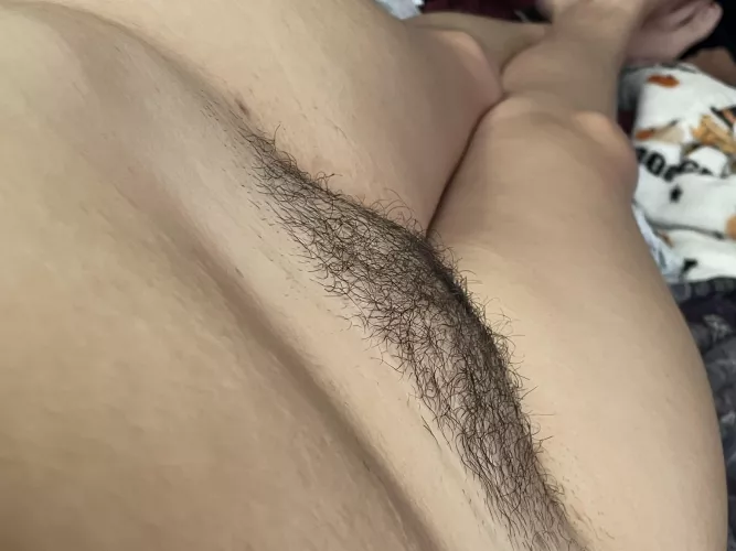 It’s been a minute…let’s catch up in my bush🧚♀️