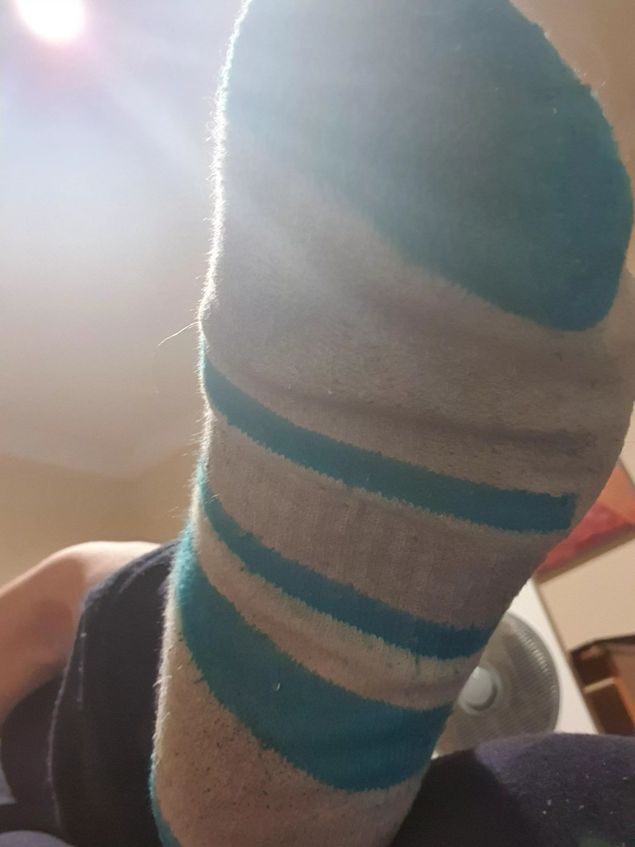 Its been an entire week since I've last taken off my socks and I want to wash them in your mouth