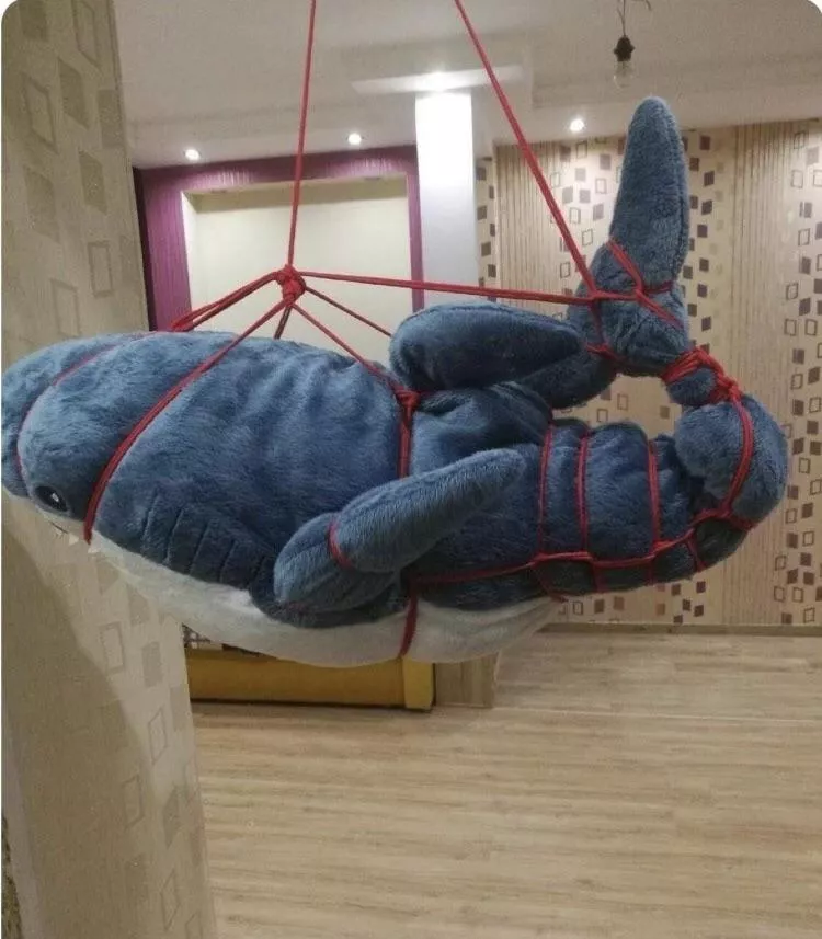 It’s fintastic It’s fintastic