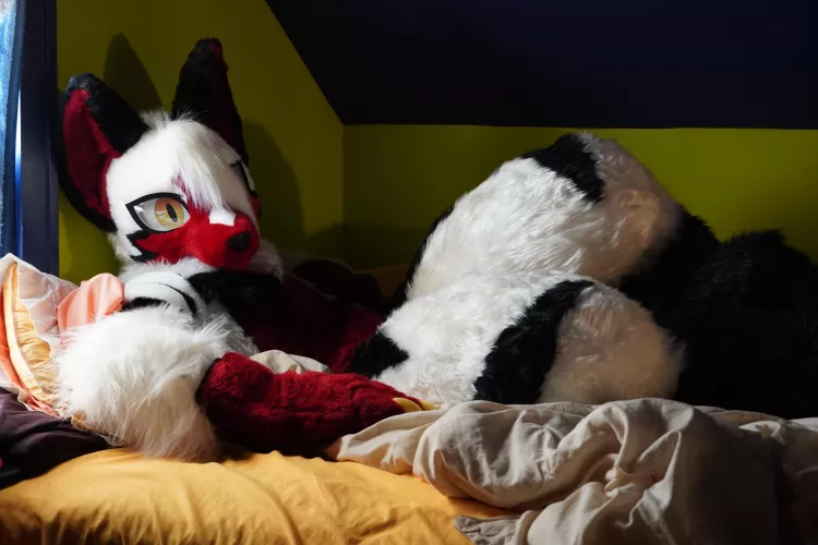 It's freezing. Got a blanket to share?