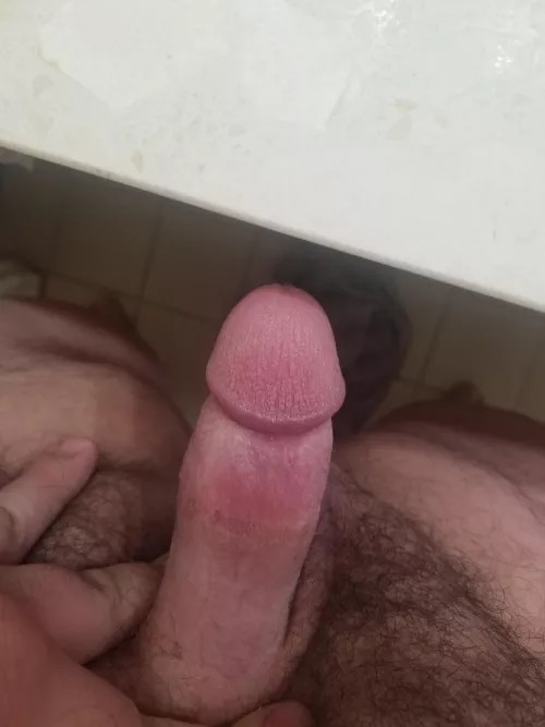 It's impossible not to get hard with all the suckable cocks in this subredditâ€