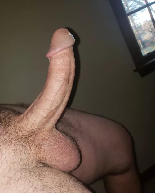 It's not too late for some oozing Christmas Cock!