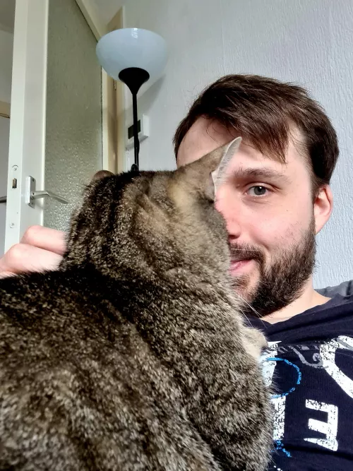It's okay. I didn't wanna look at the screen while gaming anyway... π