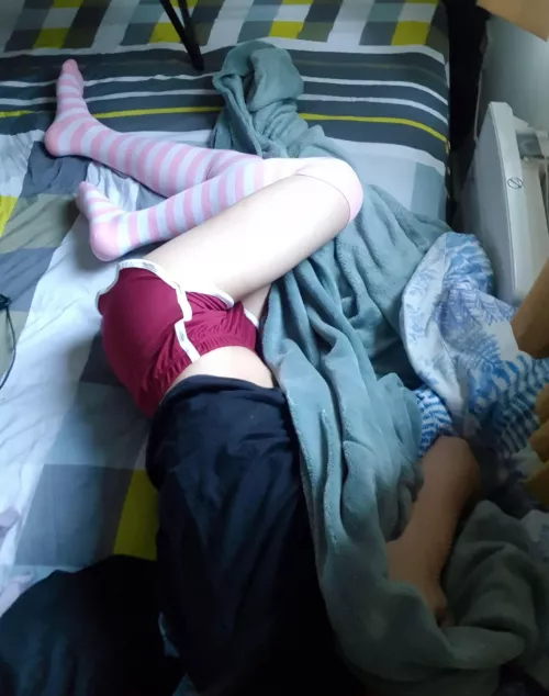 >//< it's so cold today, it's definitely snuggle season🥺 Who wanna come keep me warm? >//< it's so cold today, it's definitely snuggle season🥺 Who wanna come keep me warm?