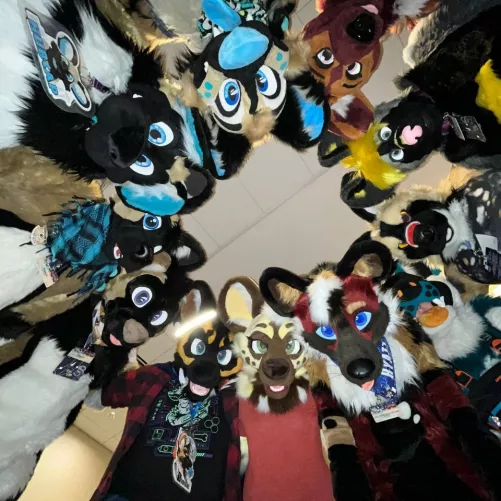 It's the world's largest satellite array!