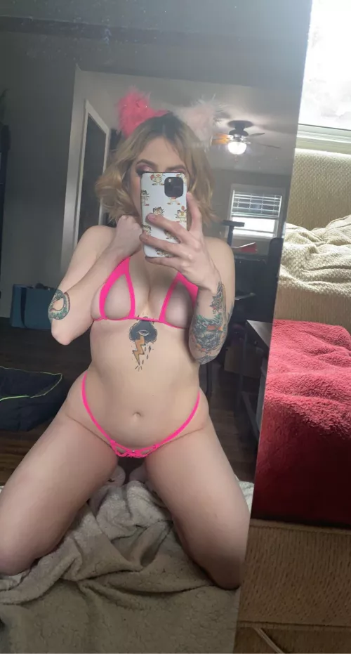 It’s this kitties birthday in 2 days (f) 💖 I love micro bikinis