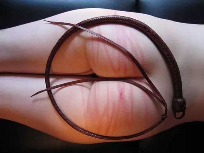 it's whip time ! 🔥