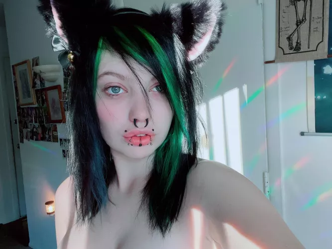 Itty bitty kitty💕