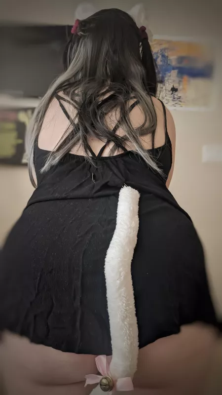 I've been a naughty little kitten all day ?