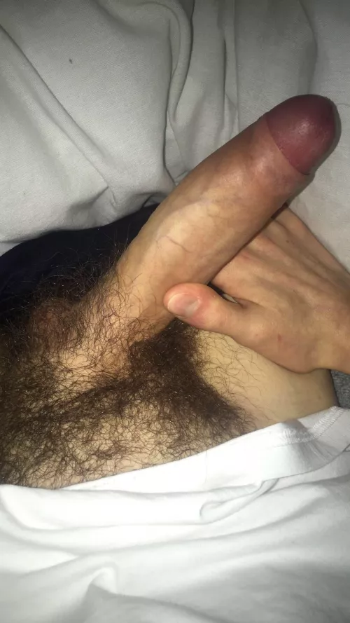 I’ve been deliberating on shaving for a while now. My hair is getting a little messy for my tastes and I kind of wanna see how being hairless feels. Your guys’ thoughts?