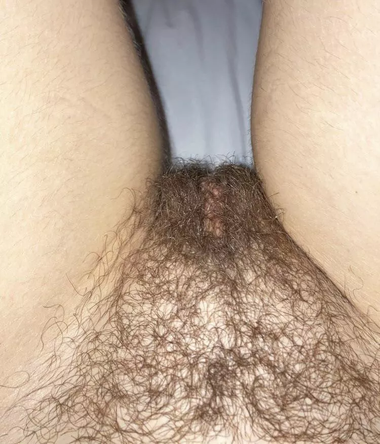 I’ve been letting it grow, what do you think?