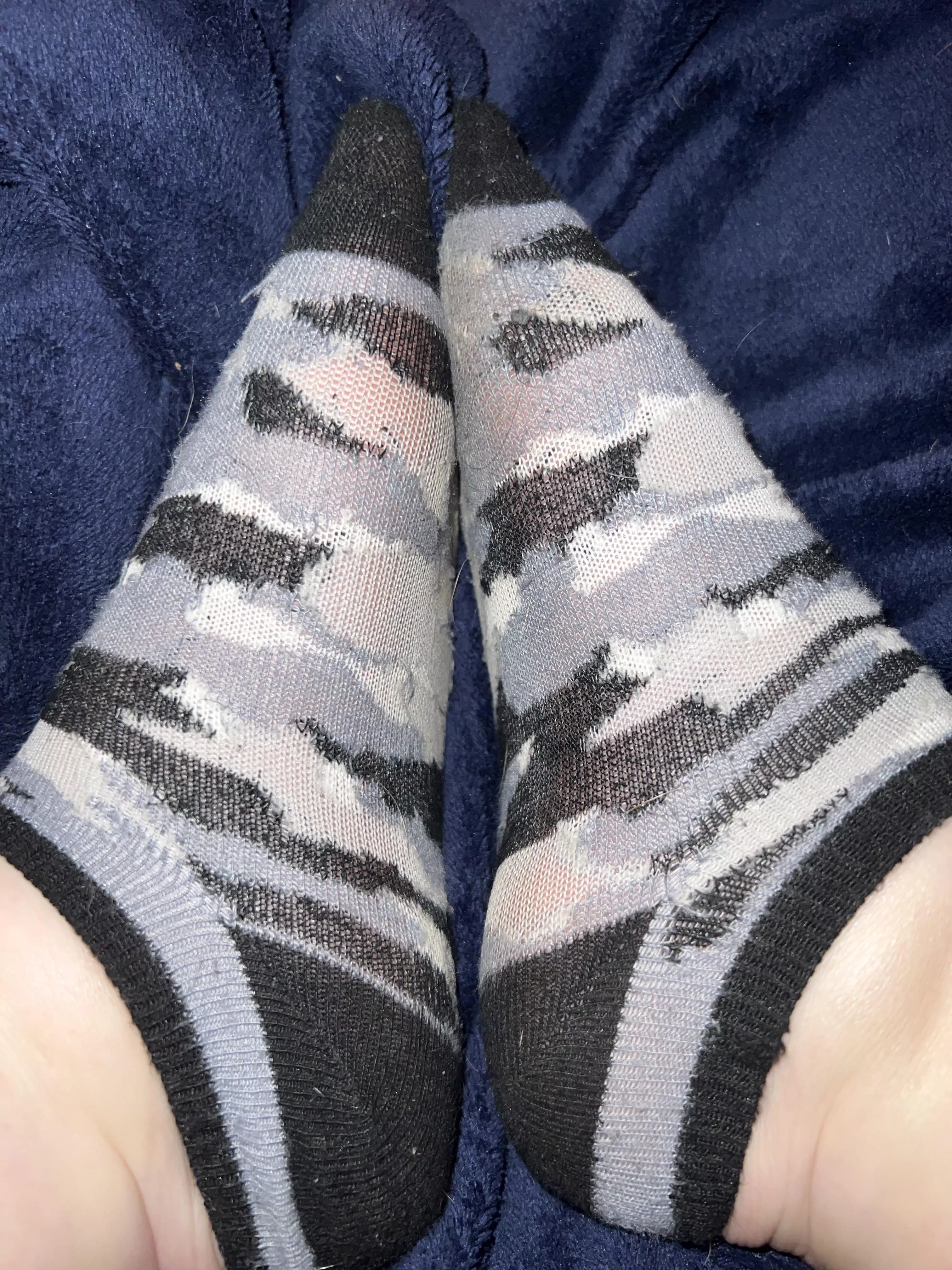 I’ve worn these to the gym every day for the past week