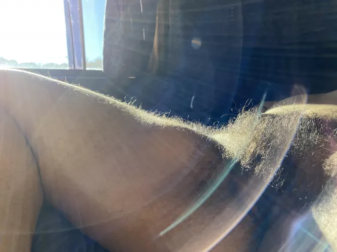 JanuHairy Sunshine 🌞