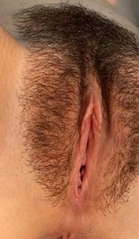 Beautiful Hairy Vaginas