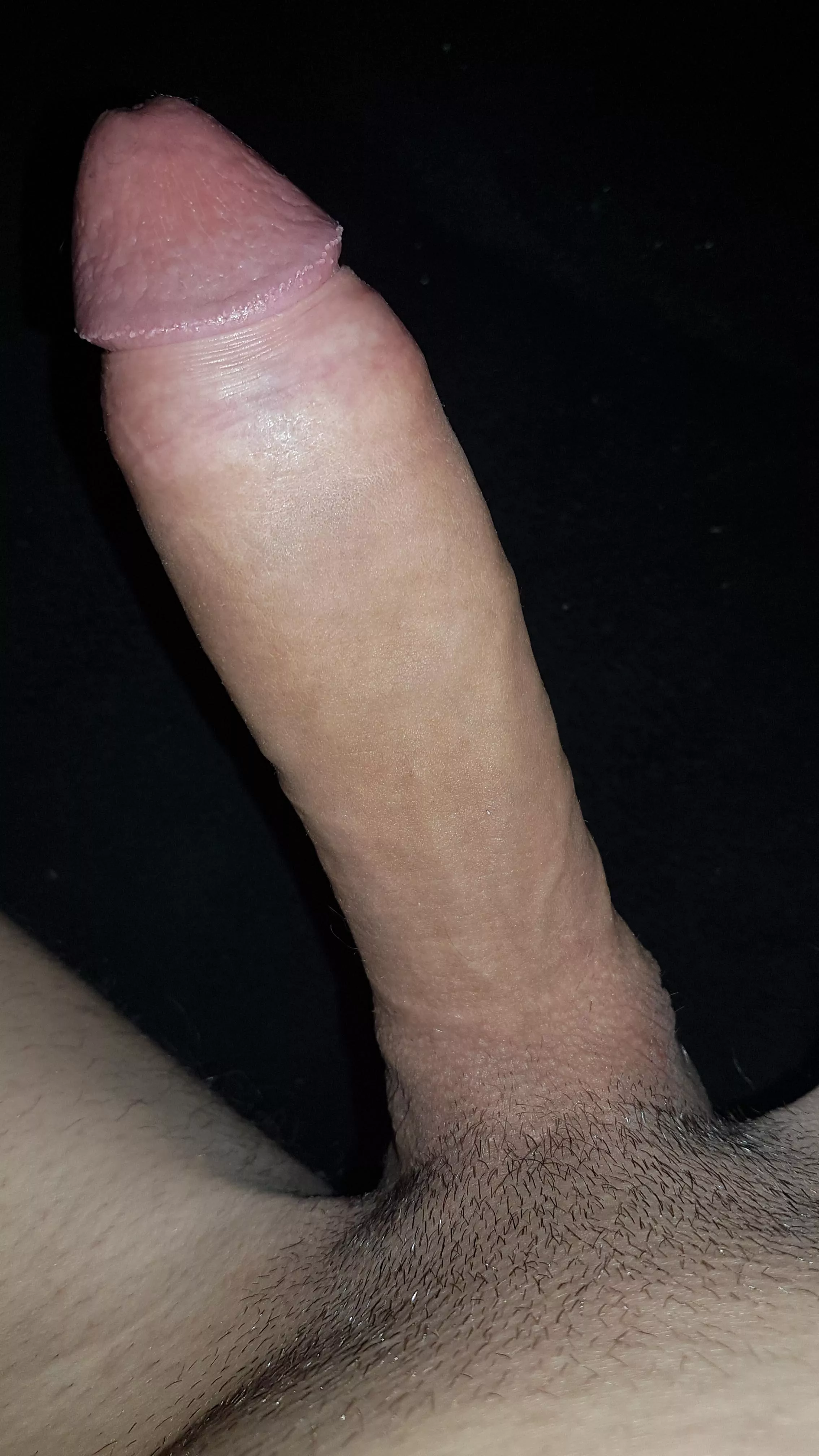 Jump on! Rides are free! M19