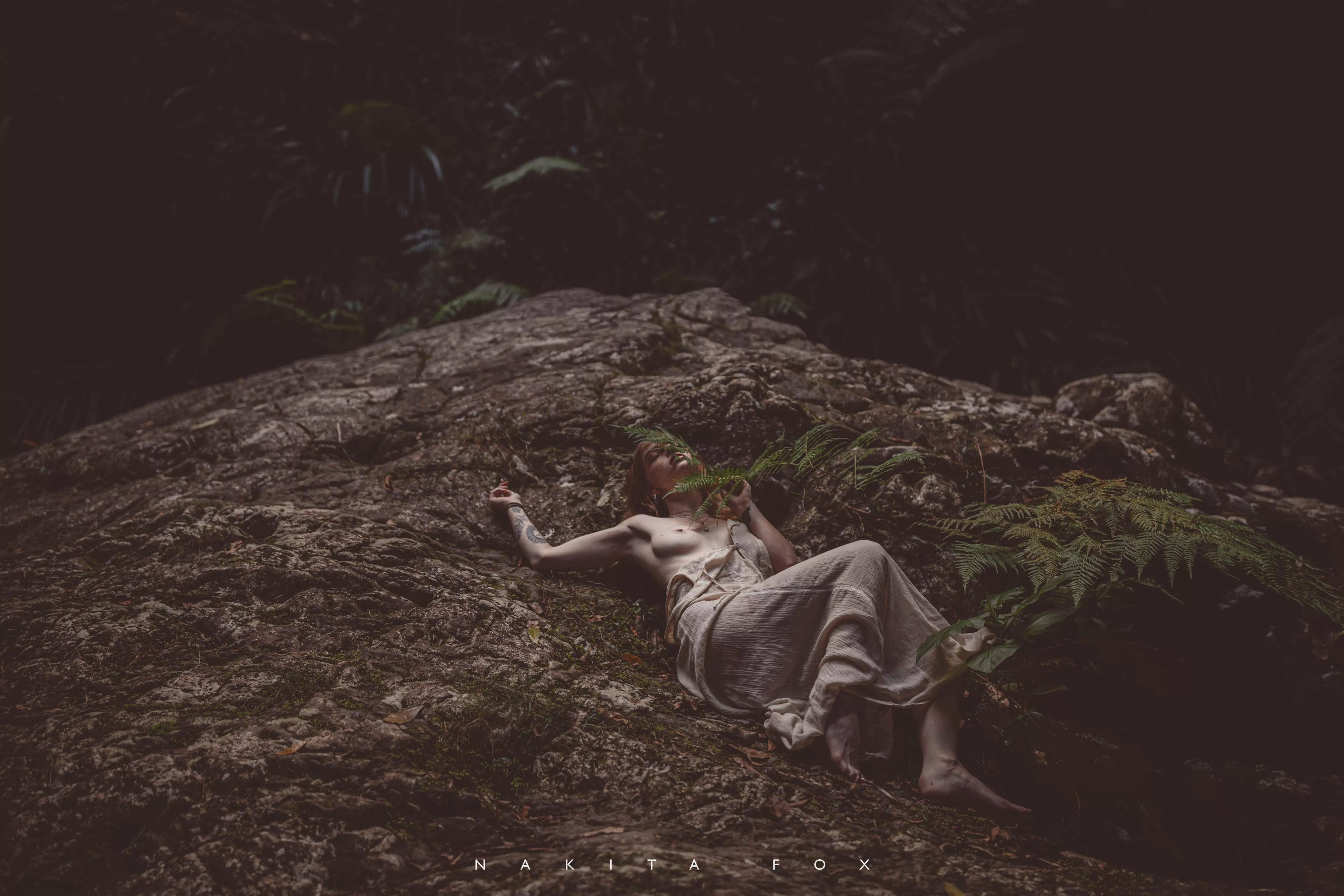 Jungle Gypsy, shot by me Jungle Gypsy, shot by me