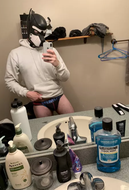 Just a good boy 🥰