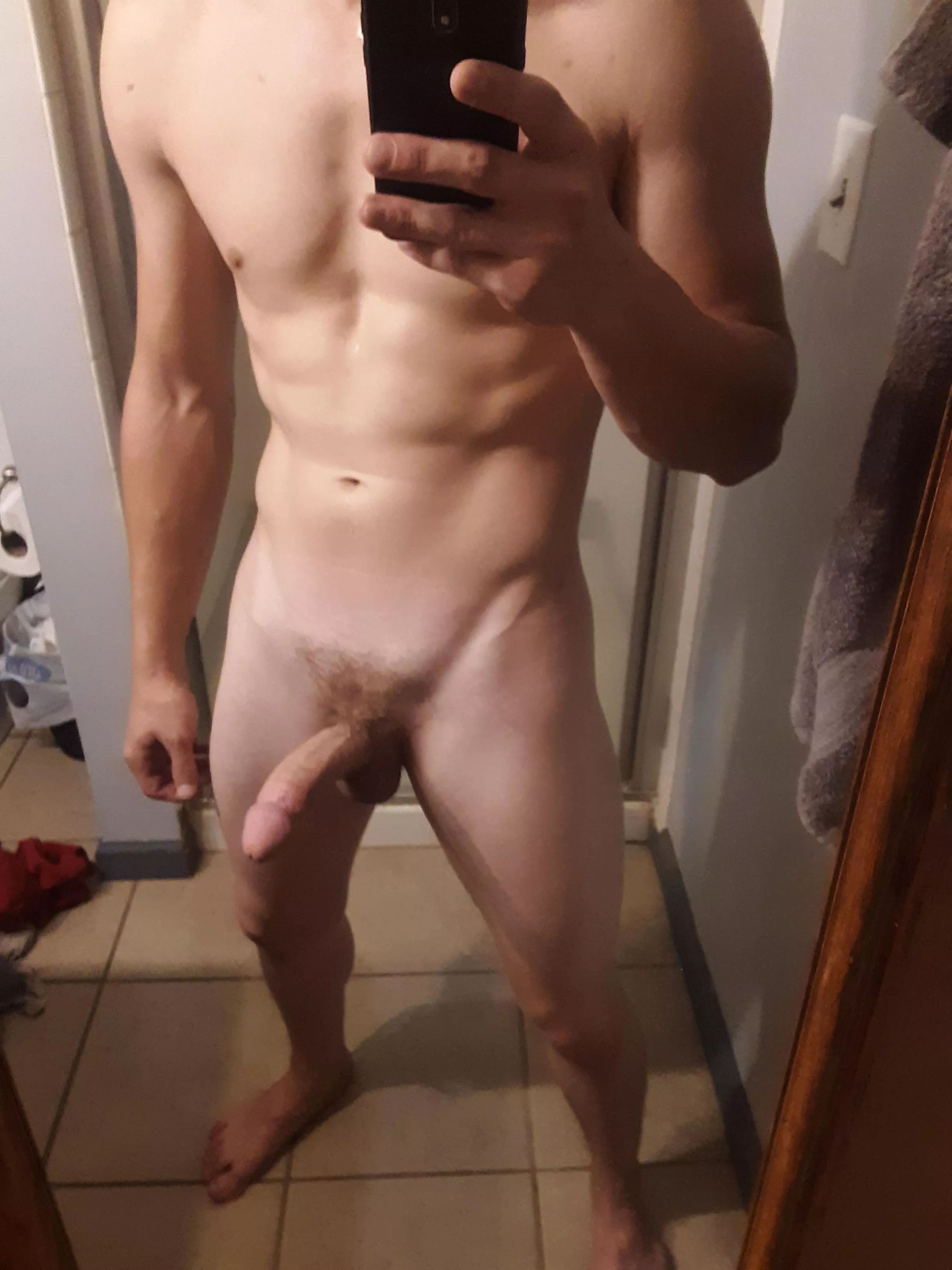 Just a light bush Just a light bush