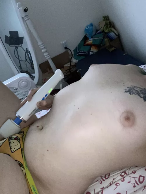 Just a little celebration for Taco Tuesday