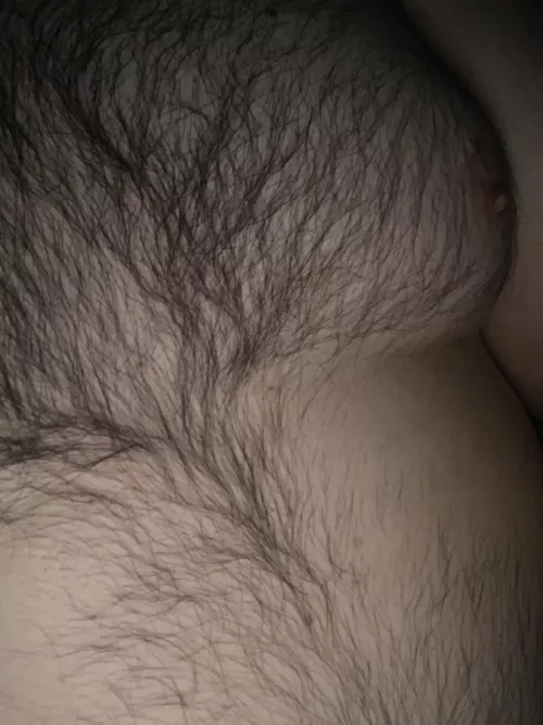 Just a lonely bi bear…. Just a lonely bi bear….