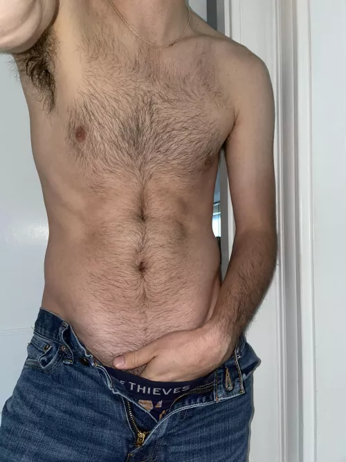 Just a mild hairy chest for you π