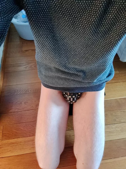 Just a normal day in the home office