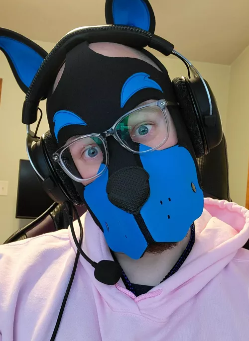 Just a pup playing gaymes.