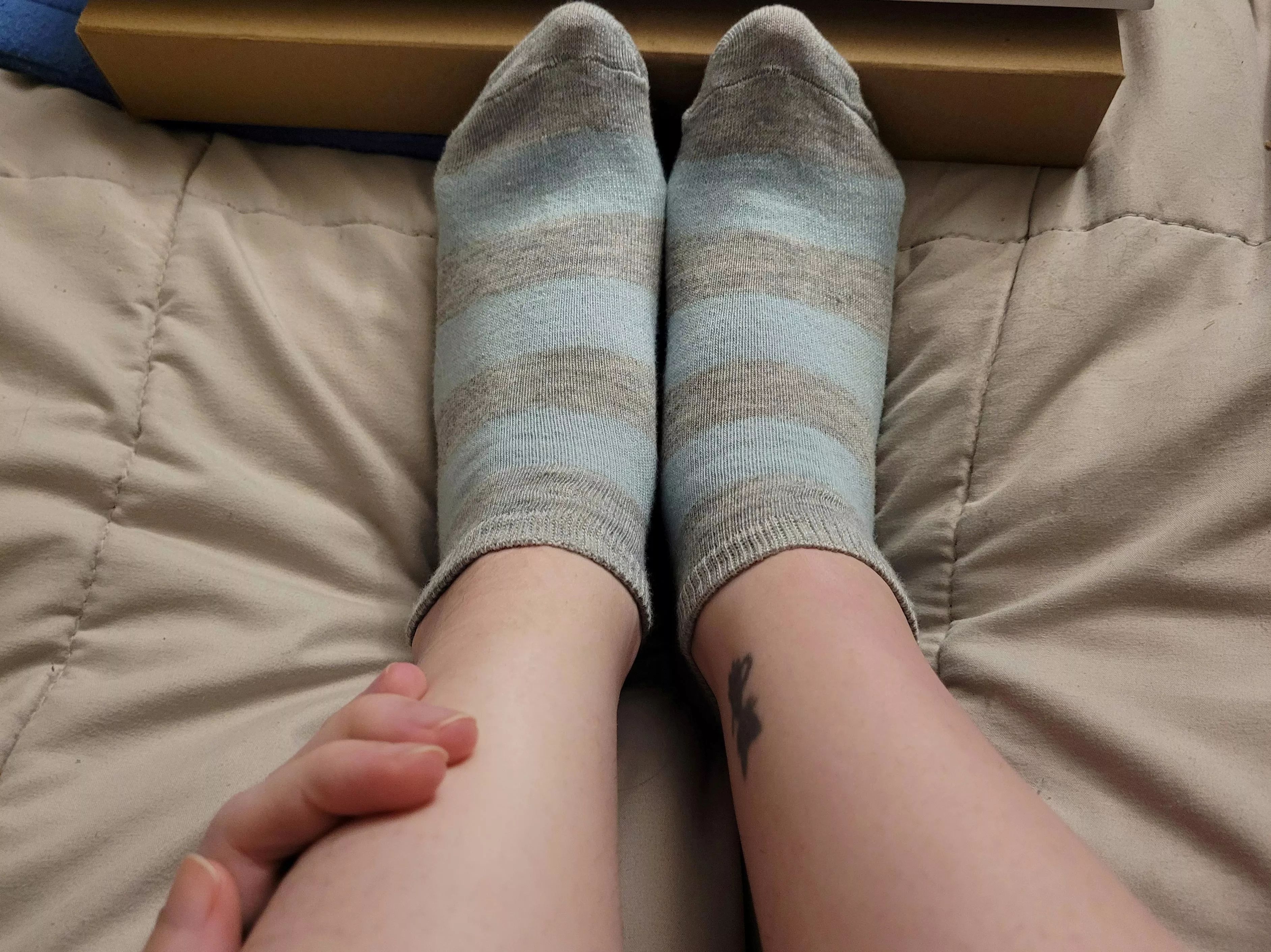 Just a quick shot of my new socks while working on a paper...I think they make my ankles look sexy 😘