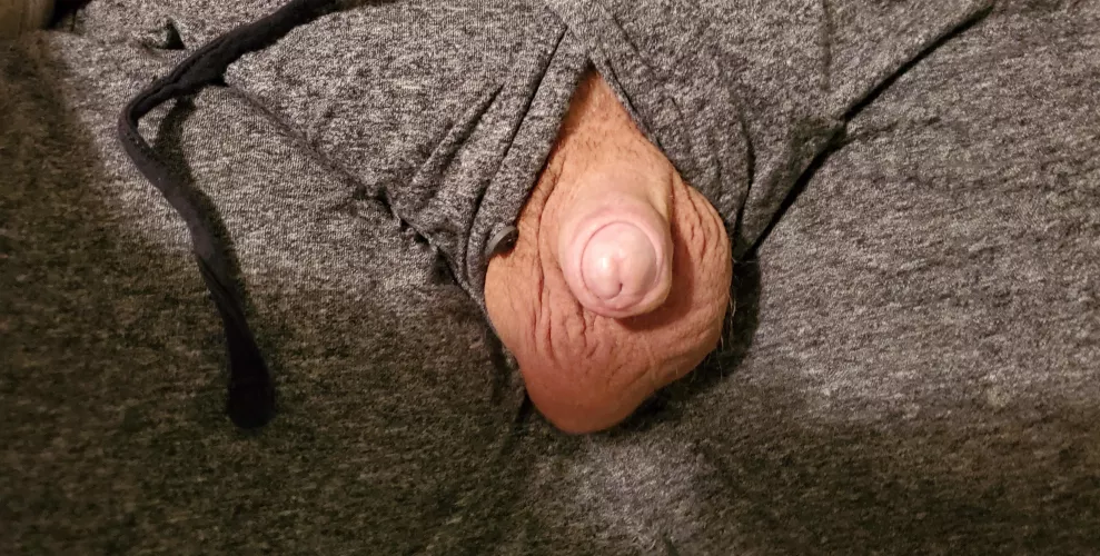 Just another small cock [41]