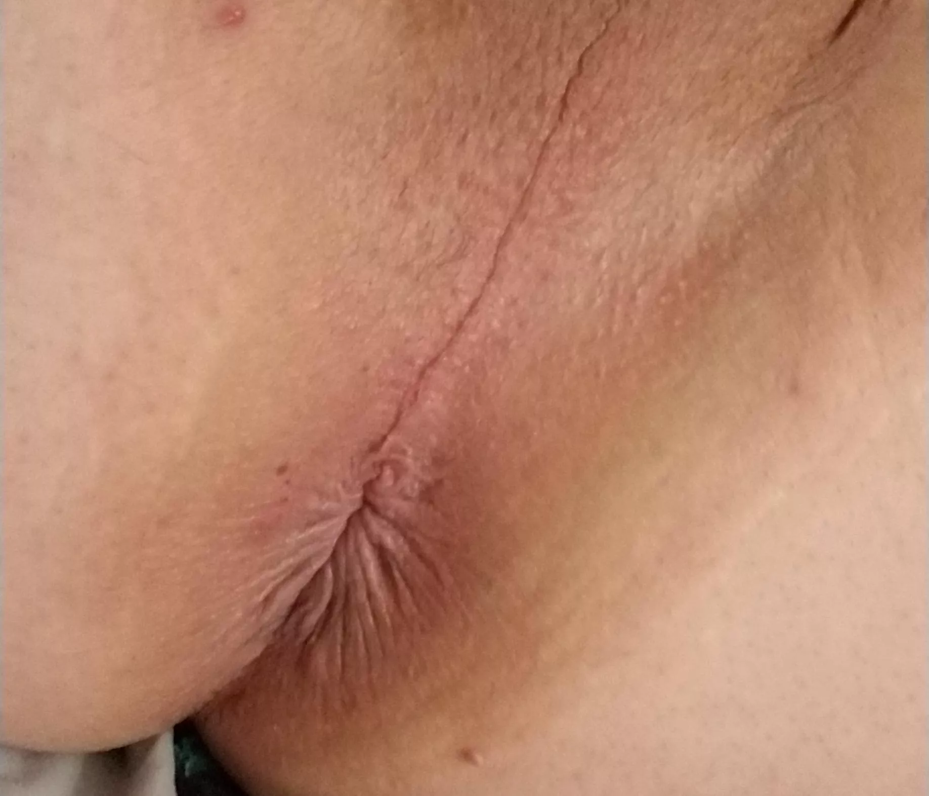 Just came home... shaved and then he flaked out on me.... 😿