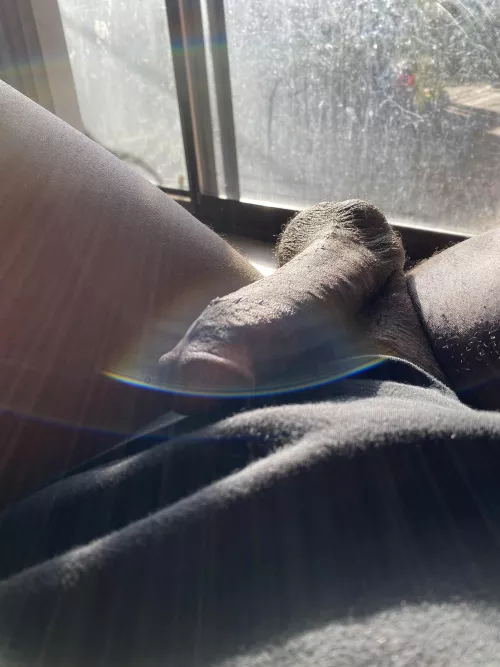 Just chillin in the sun ๐
