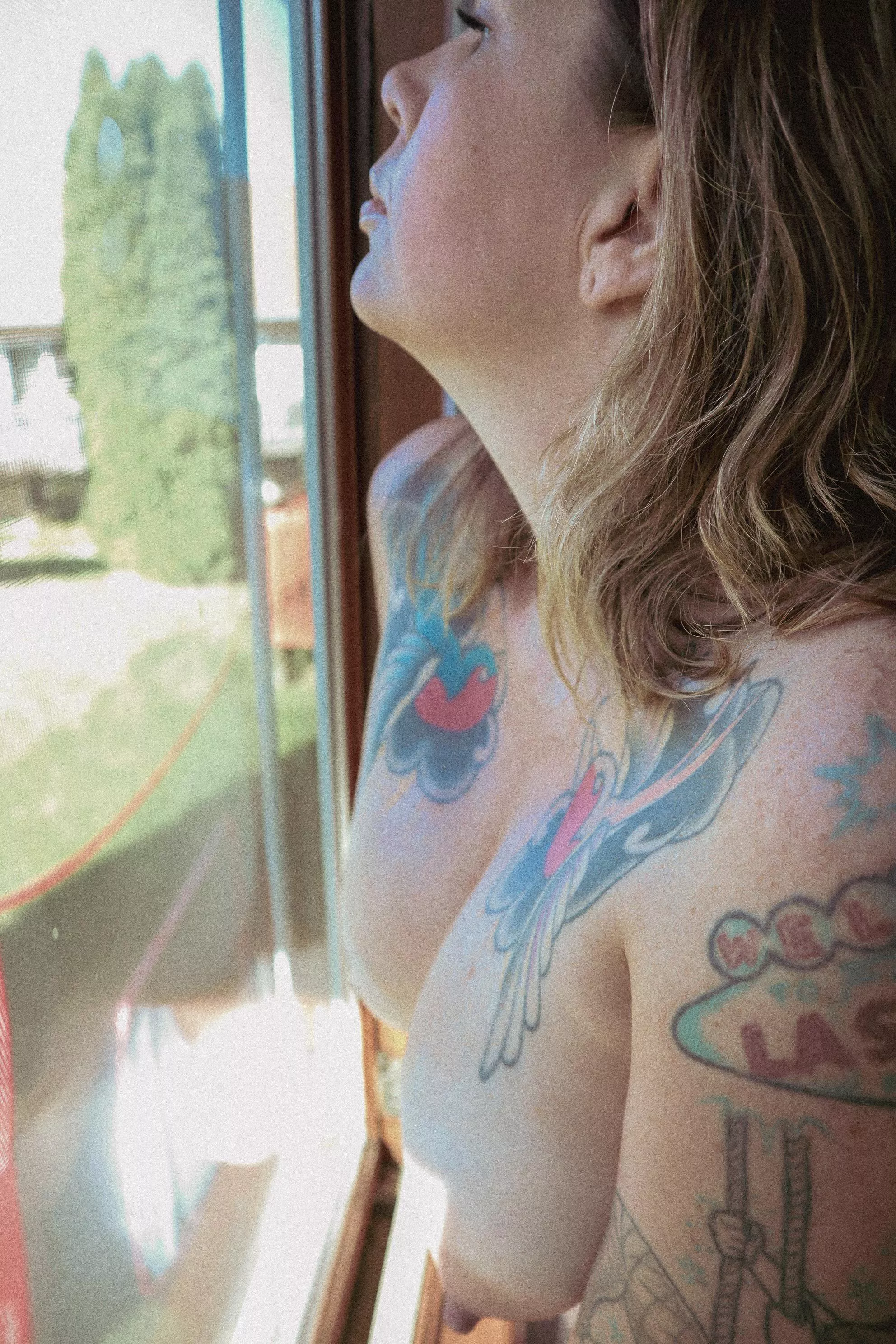 Just enjoying the light through my window. Nothing to see here Just enjoying the light through my window. Nothing to see here