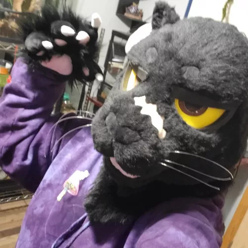 just got my first fursuit!