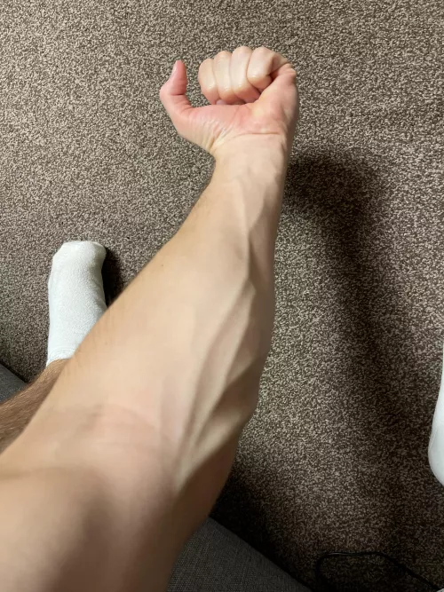 just my forearms just my forearms
