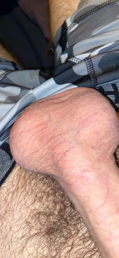 Just shaved my ballsβ¦ Just shaved my ballsβ¦