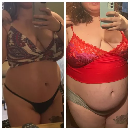 Just some WG over the years *teasing okay* *as long as you actually respect fat bodies IRL*