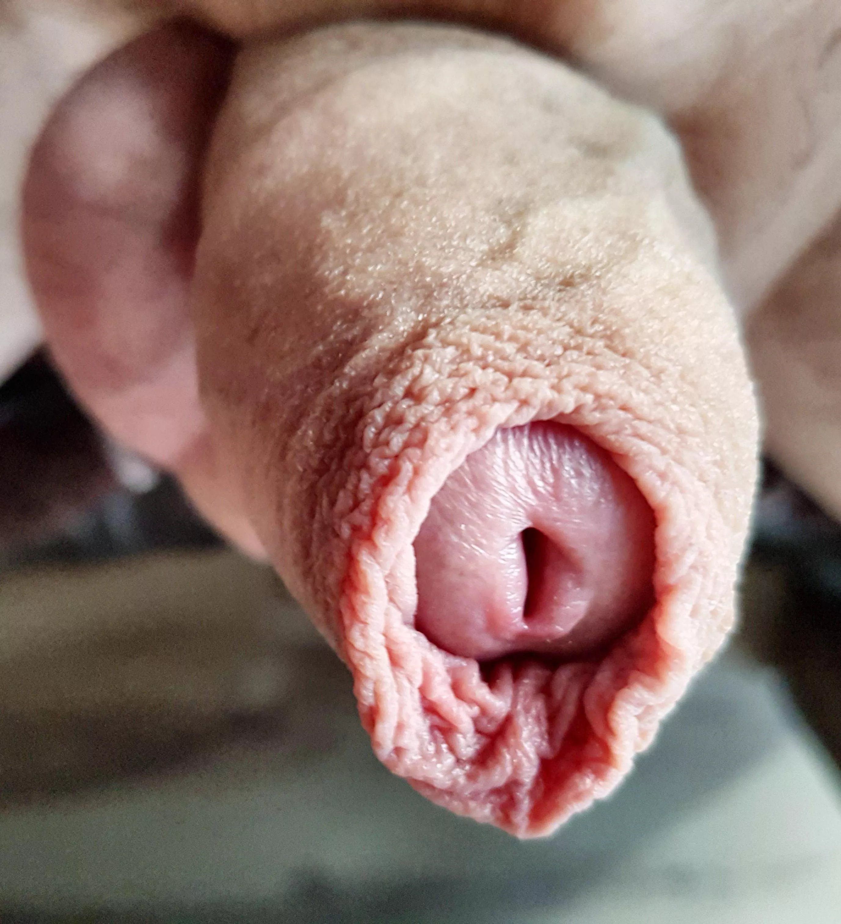 Just the tip Just the tip