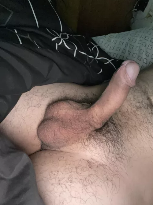 Just waking up from a nice nap