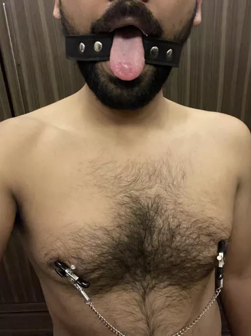 Just want to introduce my lil pet. Came around to say hi.