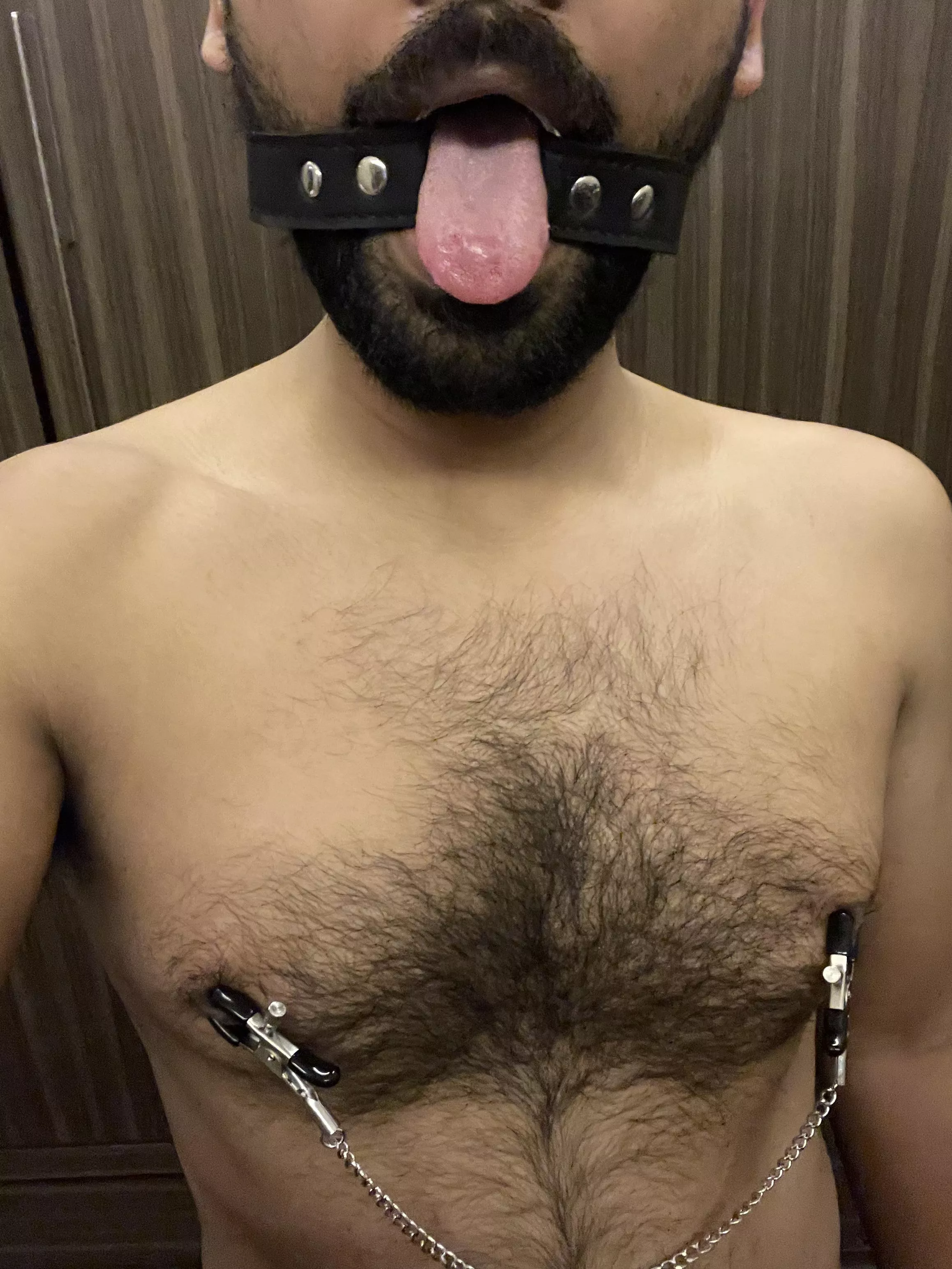 Just want to introduce my lil pet. Came around to say hi.