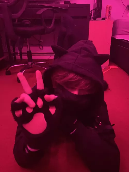 Just your daily dose of -nya- Just your daily dose of -nya-