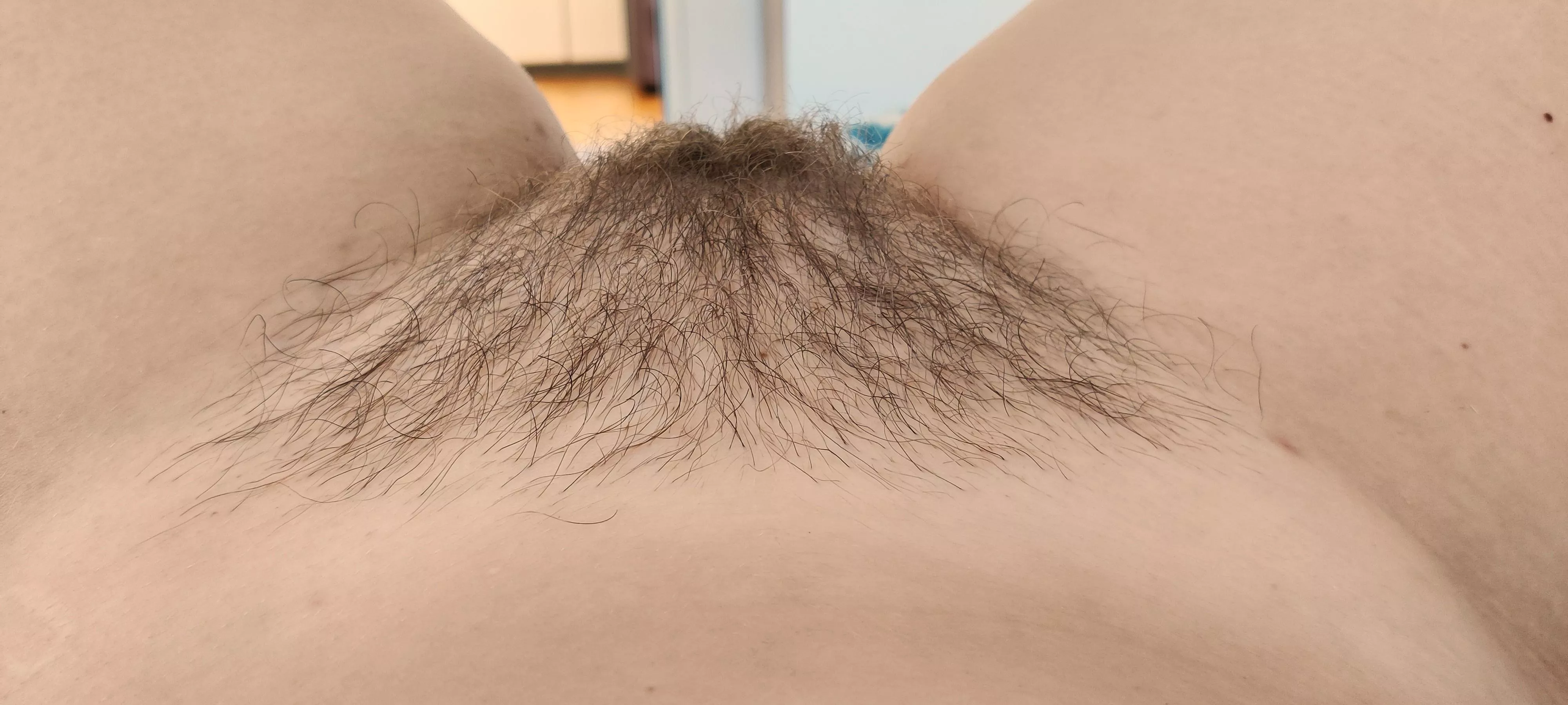 Keeps growing...🪴