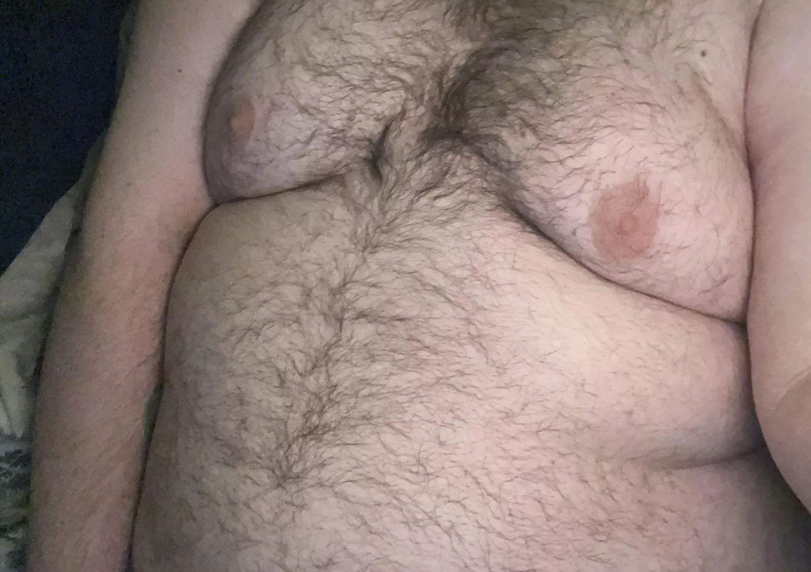 Browse kinky 27m chub bear with a pair of hairy man tits - Chasers for free...