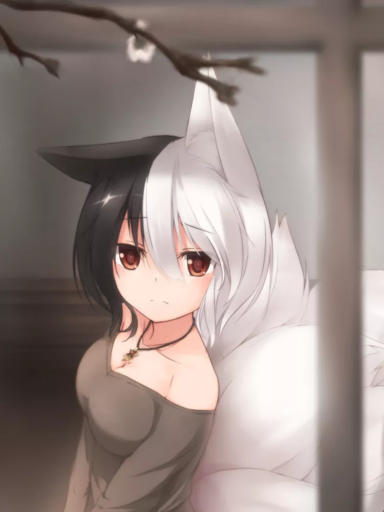 kisaragi yuki - Neko kisaragi yuki - Neko